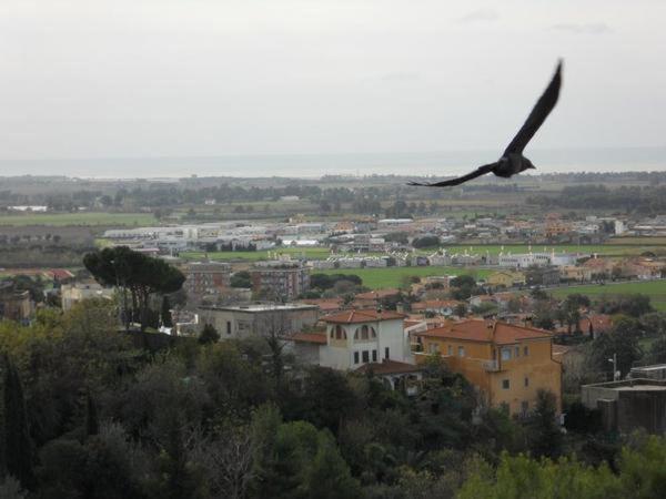 Bed and Breakfast Al Castello à Tarquinia Extérieur photo